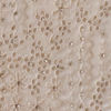 Elite Warm White Sherwani
